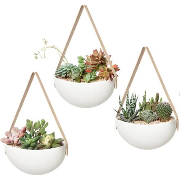 Wall Planter for Indoor Plants Ceramic Hanging FlowerPots for Succulent AirPlant - Picture 1 of 8